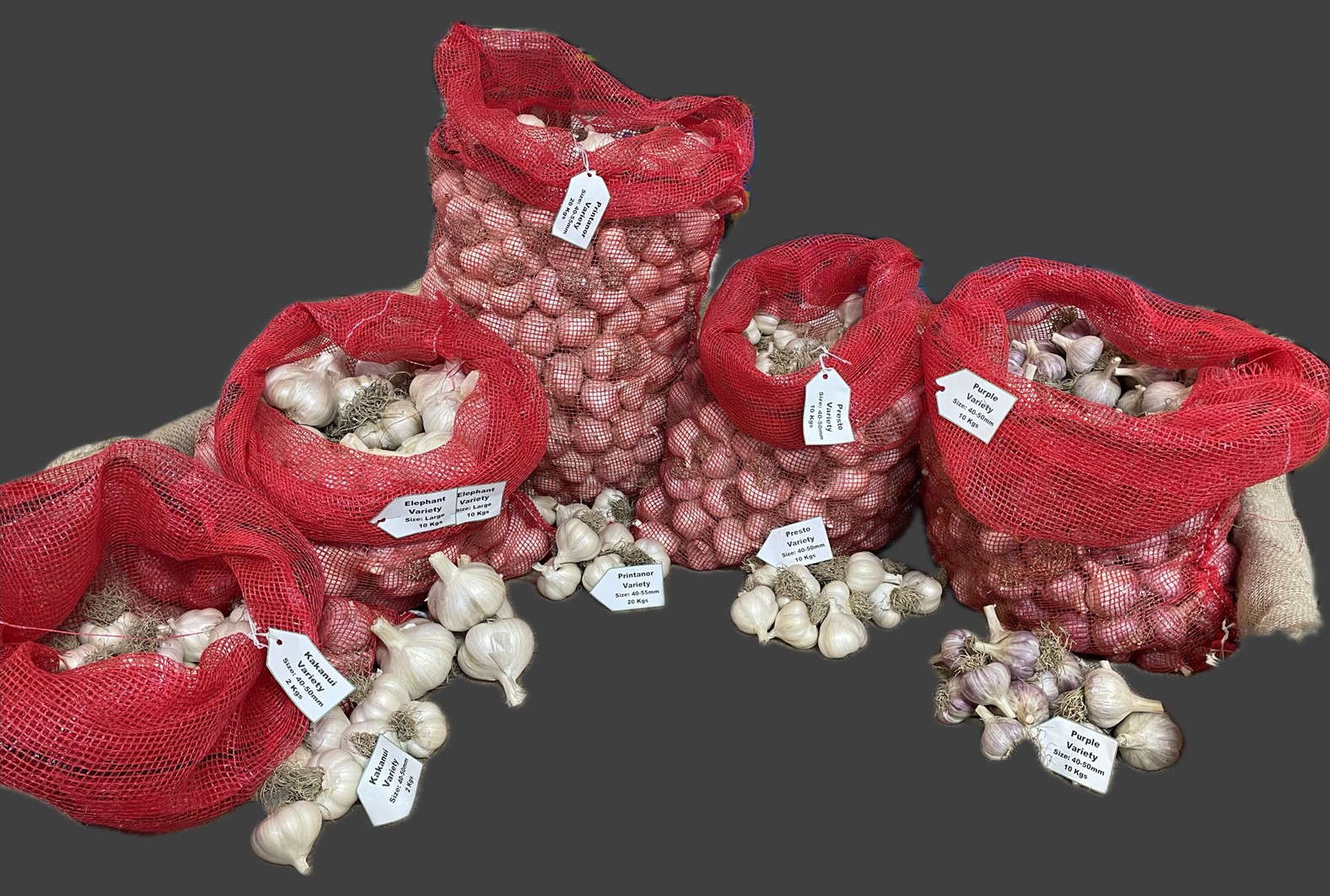 Garlic group