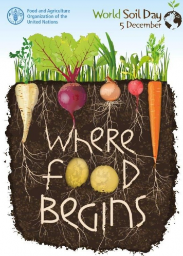 Healthy soils 2