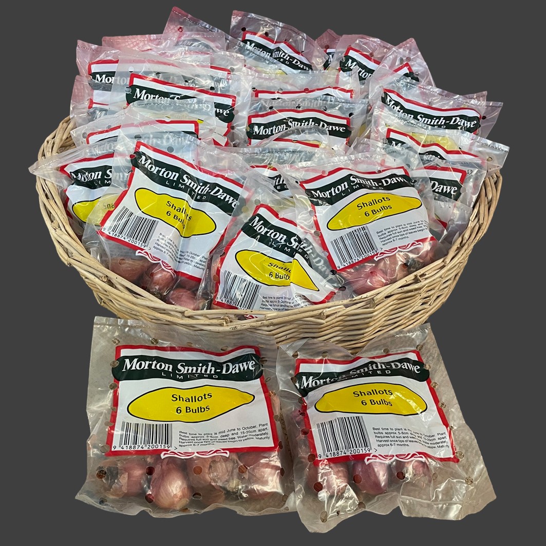 shallot group web