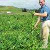 images/thumbsgallery/Kiwi_Seed_NZ_5.jpg
